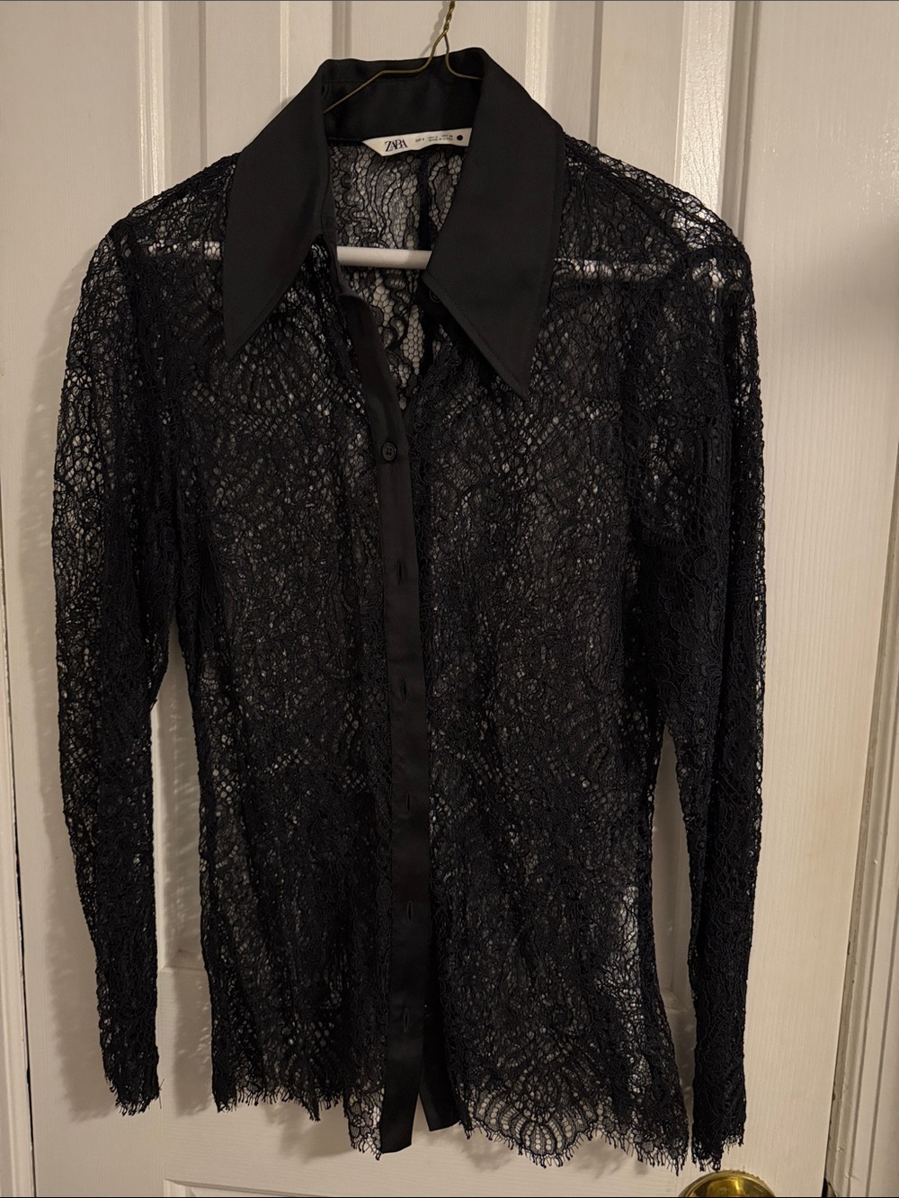 ZARA Sheer Black Lace Button-Down Shirt